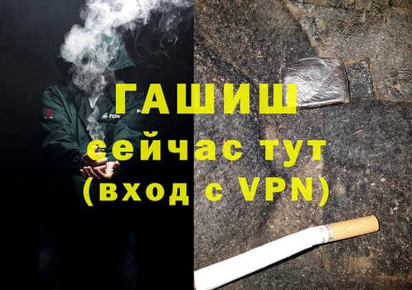 амф Снежногорск