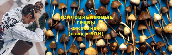 соль курить ск Володарск